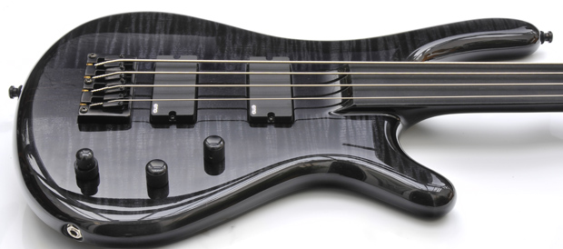 Bass Professor Test Fame Fretless