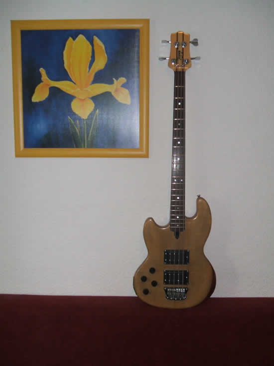 Bass Professor Bass Beauty Contest 2011