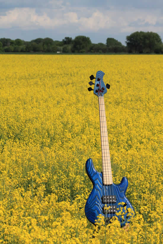 Bass Professor Bass Beauty Contest 2011