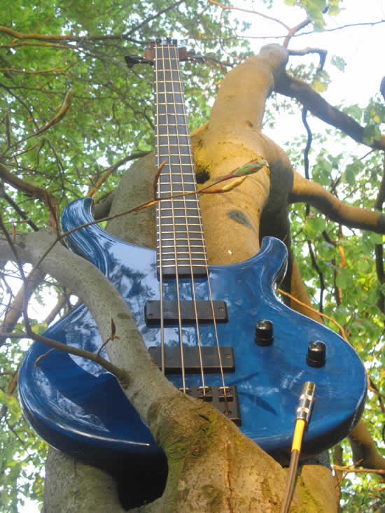 Bass Professor Bass Beauty Contest 2011
