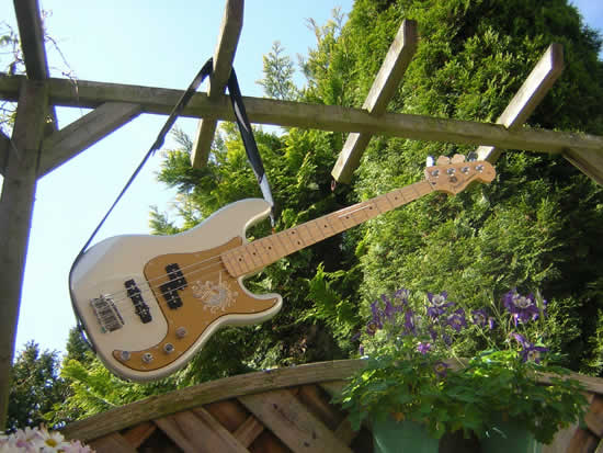 Bass Professor Bass Beauty Contest 2011