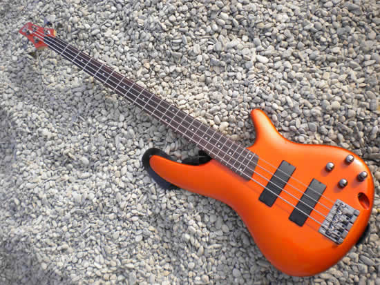 Bass Professor Bass Beauty Contest 2011