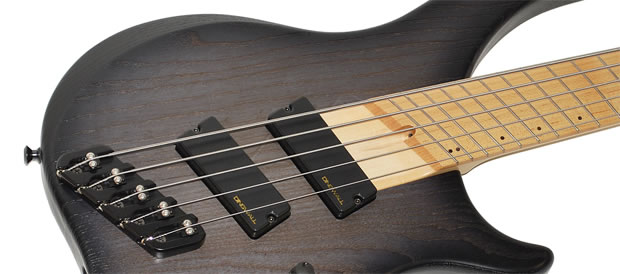 Bass Professor 5/2011, Test: Dingwall ABZ-5