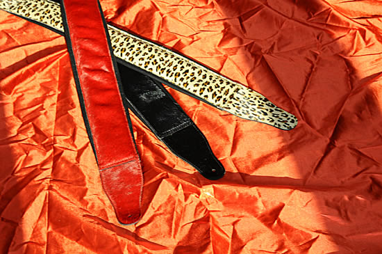 bp5_2011_te_harvst_lb_03