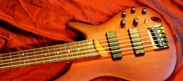 bp4 12 te ibanez sr 505fl fp2