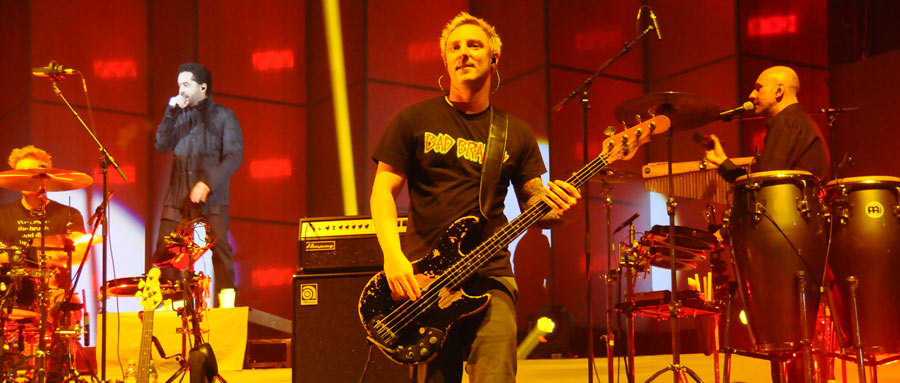 Bass Professor 3/2014, Story: Frank Kernbach