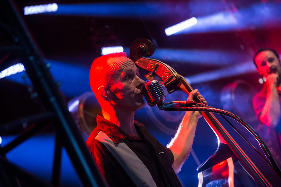 Bass Professor 2/2018, Didi Beck: Der Marathon-Kontrabassist