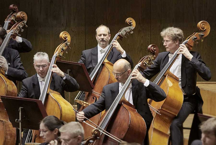 Bass Professor 4/2018, Story Thomas Stahr