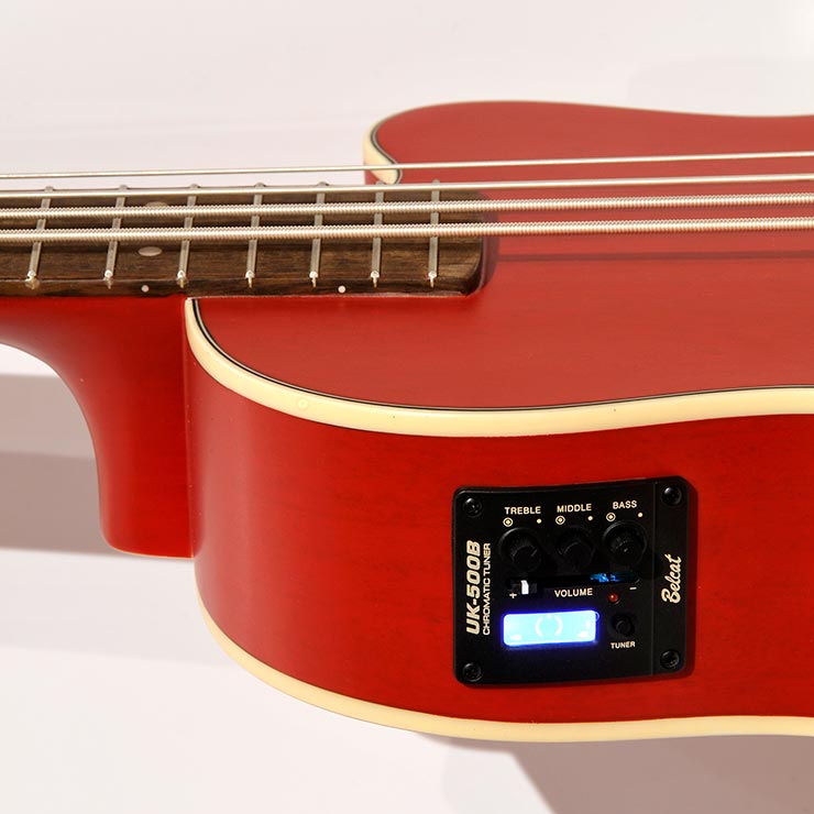 Bass Professor 1/2020, Test: Kala U-Bass Journeyman