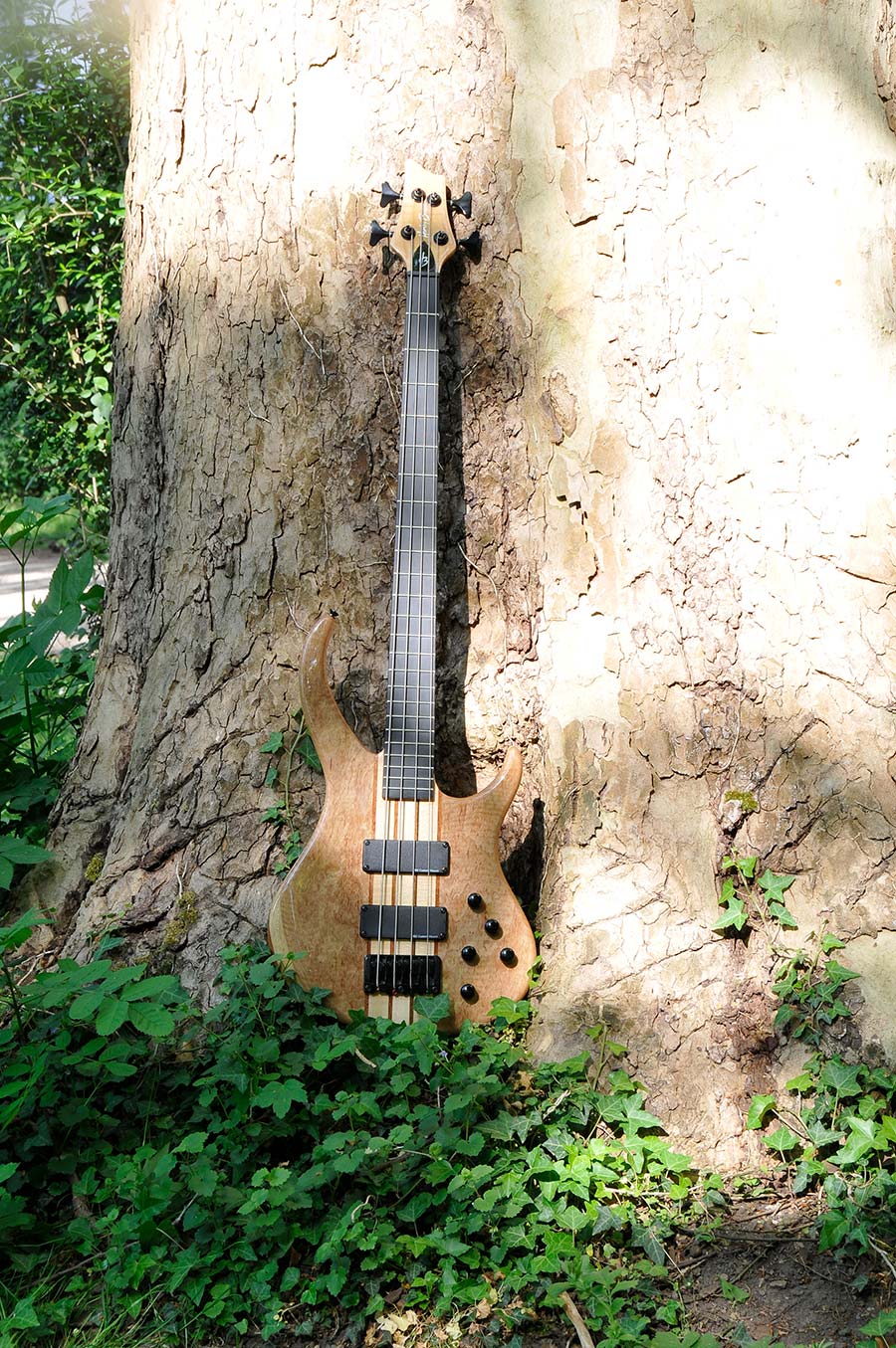 Bass Professor 2/2020, Ausgabe 102. Test: Harley Benton BZ-4000 NT Deluxe