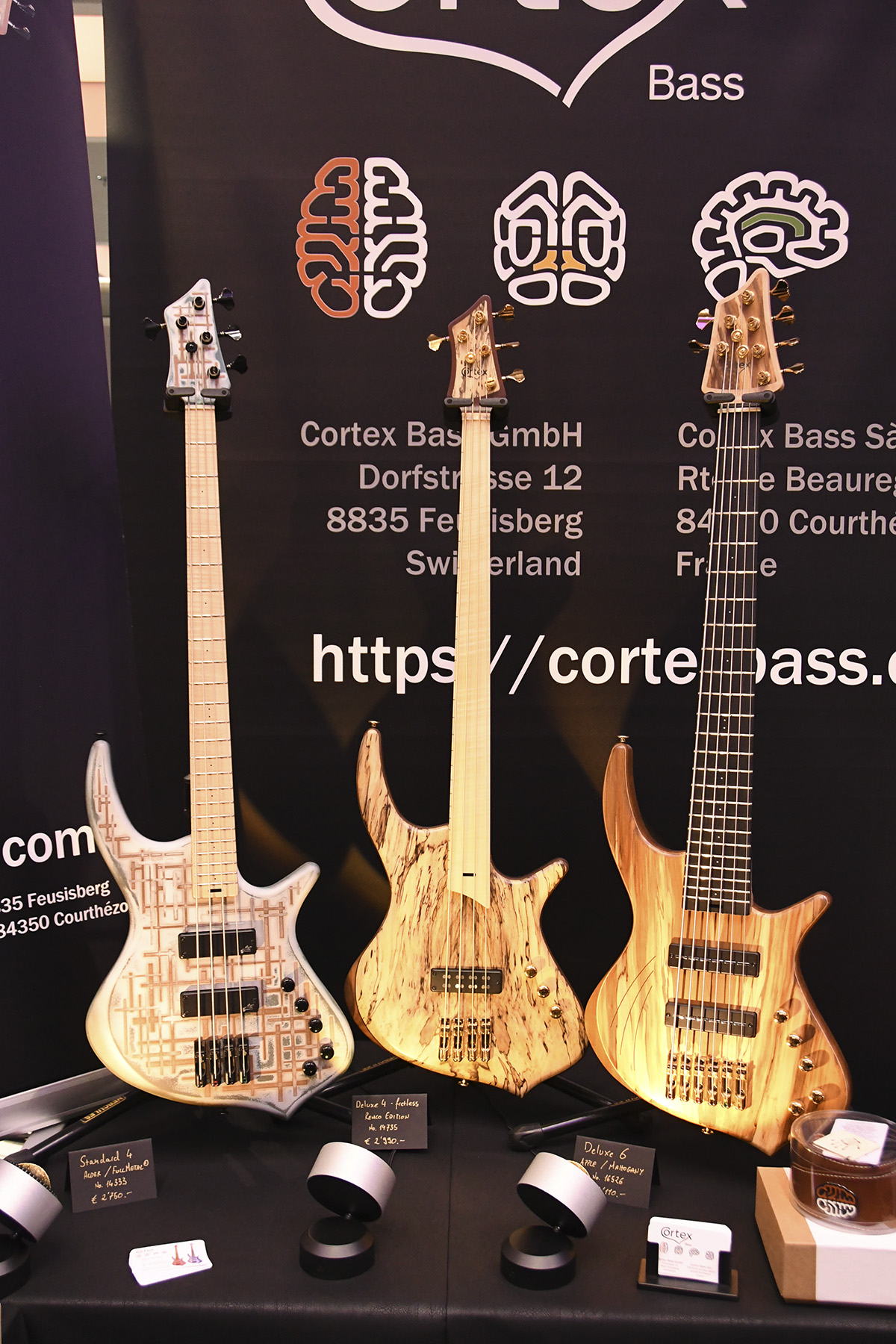 Cortex Napoleon Bass