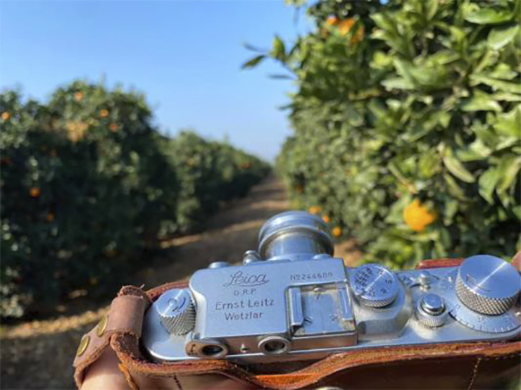 Story: Marty O’Brien – Lita Ford Band